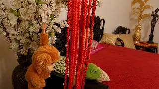 video preview 4